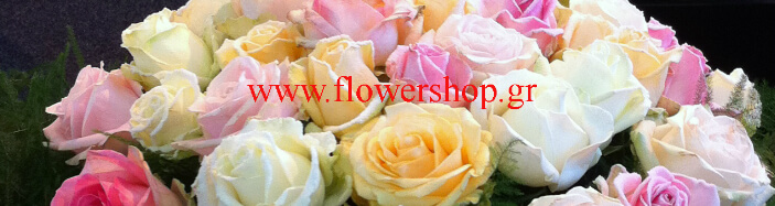 (41) Τριαντάφυλλα Διάφορα Χρώματα Προσφορά