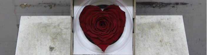 Τριαντάφυλλο βαλσαμωμένο σε σύνθεση. "Σχήμα ΚΑΡΔΙΑΣ"