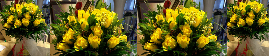 (31) yellow roses A' quality Dutch in vase with greens