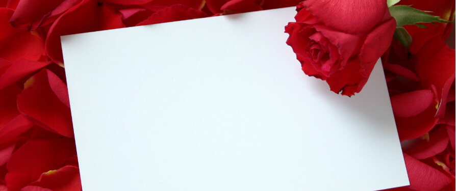 24 hour Service | Guaranteed Delivery | Tel. 00302109319884