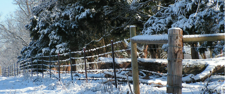Αποστολή Λουλουδιών Εύκολα Γρήγορα. Ασφαλείς Πληρωμές.