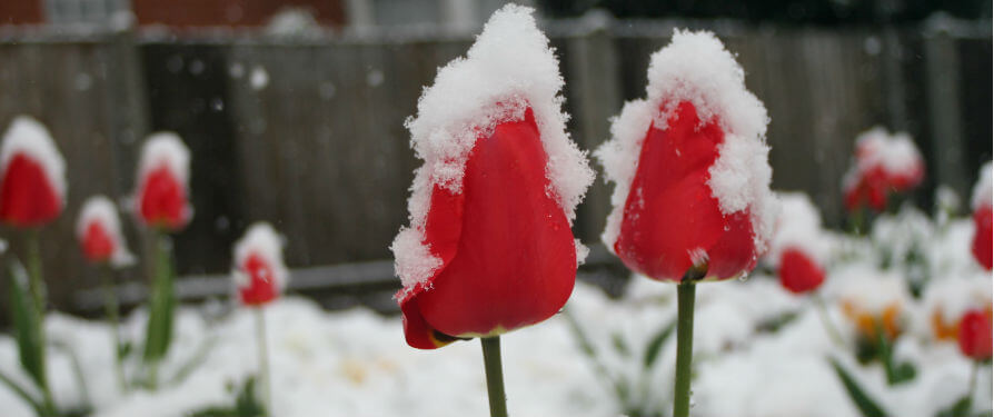 Ανθοπωλείο Με Πρωτότυπες Ιδέες ... Προσωποποιημένες Προτάσεις !!!