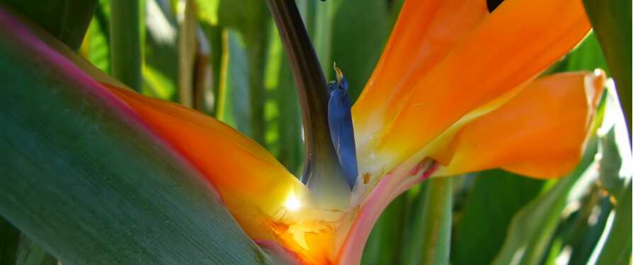 High Aesthetic ... Customized Flower Arrangements !!!