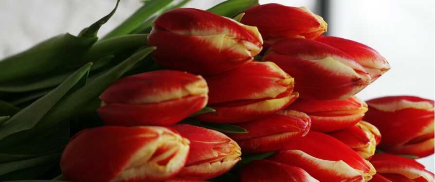 Online Florist Athens Greece