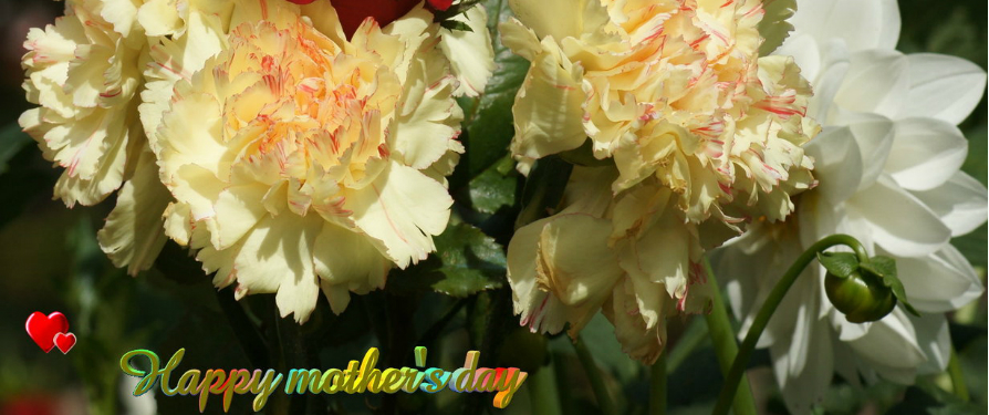 Online Florist Athens Greece