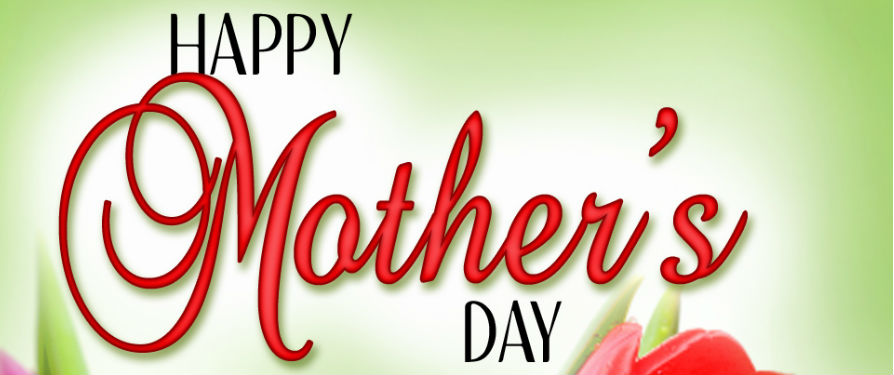 Λουλούδια Από Όλο Τον Κόσμο Εξαιρετική Ποιότητα