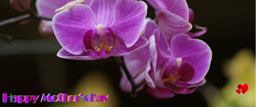 High Aesthetic ... Customized Flower Arrangements !!!