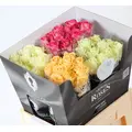 Roses multi color
