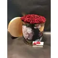 Roses In Boxes