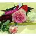 Roses  ECUADOR (big heads)