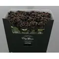 Roses Natural but "Treated"