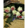 Waxed  Roses