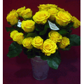 Roses yellow