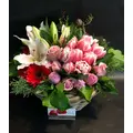 Spring flower and plant proposals