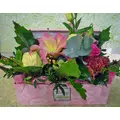 Flower boxes