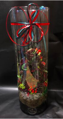 Τριαντάφυλλα (10) τεμ. "Galaxy" Έξτρα Σπέσιαλ Σύνθεση σε Ποτ, Καλάθι ή Βαζο. ΝΕΟ !!!Πολυτελές(κύλινδρος 60εκ. Ύψος)