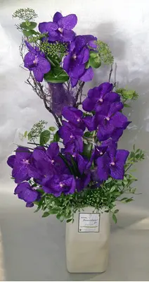 Arrangement with vanda orchids