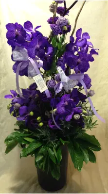 Arrangement with vanda (or phalaenopsis - cymbidium) orchids +Decoration. Exclusive !!!