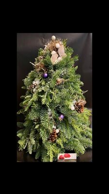 Christmas Tree Abies Nobilis Arrangement 30cm. Ideal Decoration Article for Office & Home Tables & Desks during Christmas Season. Exclusive