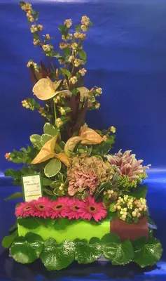 color-moss-tray.gif