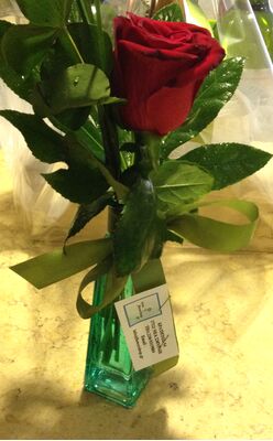 Wooden Pot with (3) Bottles Of Wine + (1) Rose In Tube Vase !!!