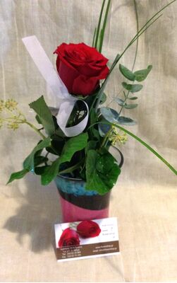 "ΈΝΑ" τριαντάφυλλο  σε βάζο ή ποτ