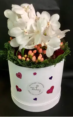 Roses in decorative  20 cm x 20 cm "White or Black  Hatbox". (15) heads.Exclusive.