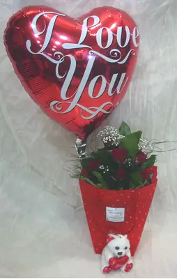 Red roses (9) stems in modern water flower bag