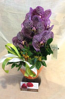 Vase with vanda orchids