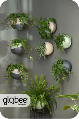 Το Globee είναι εύκολο να τακτοποιήσετε και να το συνδέσετε με διάφορους τρόπους.
Για να μπορέσετε να πρασινίσετε τον κόσμο σας με έναν απλό, κομψό τρόπο και εξοικονομώντας χώρο.