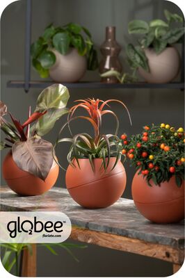 Το Globee είναι εύκολο να τακτοποιήσετε και να το συνδέσετε με διάφορους τρόπους.
Για να μπορέσετε να πρασινίσετε τον κόσμο σας με έναν απλό, κομψό τρόπο και εξοικονομώντας χώρο.