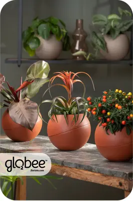 Το Globee είναι εύκολο να τακτοποιήσετε και να το συνδέσετε με διάφορους τρόπους.
Για να μπορέσετε να πρασινίσετε τον κόσμο σας με έναν απλό, κομψό τρόπο και εξοικονομώντας χώρο.