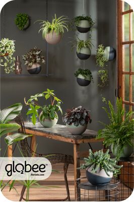 Το Globee είναι εύκολο να τακτοποιήσετε και να το συνδέσετε με διάφορους τρόπους.
Για να μπορέσετε να πρασινίσετε τον κόσμο σας με έναν απλό, κομψό τρόπο και εξοικονομώντας χώρο.