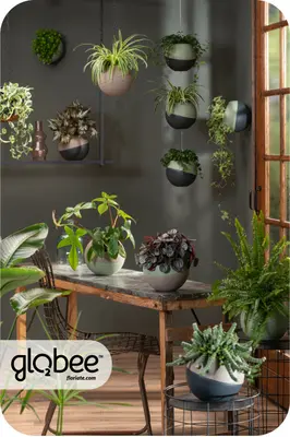 Το Globee είναι εύκολο να τακτοποιήσετε και να το συνδέσετε με διάφορους τρόπους.
Για να μπορέσετε να πρασινίσετε τον κόσμο σας με έναν απλό, κομψό τρόπο και εξοικονομώντας χώρο.