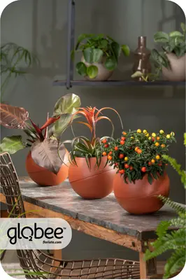 Το Globee είναι εύκολο να τακτοποιήσετε και να το συνδέσετε με διάφορους τρόπους.
Για να μπορέσετε να πρασινίσετε τον κόσμο σας με έναν απλό, κομψό τρόπο και εξοικονομώντας χώρο.