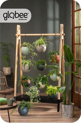 Το Globee είναι εύκολο να τακτοποιήσετε και να το συνδέσετε με διάφορους τρόπους.
Για να μπορέσετε να πρασινίσετε τον κόσμο σας με έναν απλό, κομψό τρόπο και εξοικονομώντας χώρο.