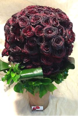 Exclusive "Black Roses" Bouquet (150) Ecuador roses