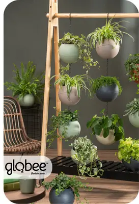 Το Globee είναι εύκολο να τακτοποιήσετε και να το συνδέσετε με διάφορους τρόπους.
Για να μπορέσετε να πρασινίσετε τον κόσμο σας με έναν απλό, κομψό τρόπο και εξοικονομώντας χώρο.