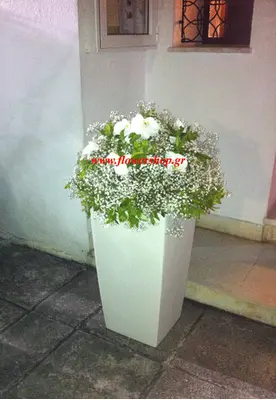 Γάμος. Στολισμός εξωτερικού χώρου "Lechuza" pot