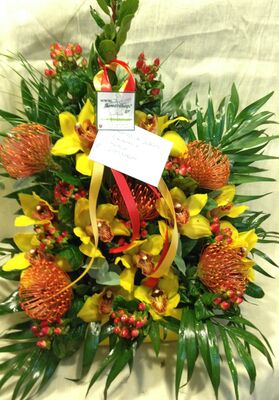 Βάζο με φαλαίνοψις ή βάντα ή σιμπιντιουμ ορχιδέες