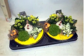 Easter Decorated Plants In Basket !!!