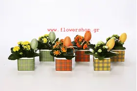 Easter plants gift