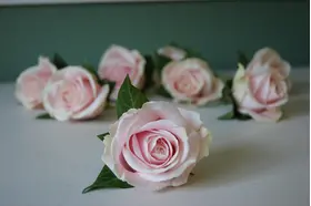 Pink or White Roses (40) stems.Super Week Offer