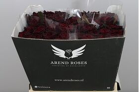 Roses Natural Black Baccara (21) stems. Very Exclusive. Gift Wrapped or Bouquet.