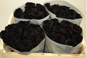 Μαύρα Τριαντάφυλλα Φυσικά