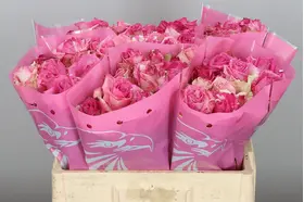 Pink or White Roses (40) stems.Super Week Offer .Super Week Offer