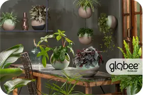 Το Globee είναι εύκολο να τακτοποιήσετε και να το συνδέσετε με διάφορους τρόπους.
Για να μπορέσετε να πρασινίσετε τον κόσμο σας με έναν απλό, κομψό τρόπο και εξοικονομώντας χώρο.