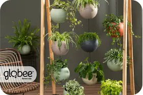 Το Globee είναι εύκολο να τακτοποιήσετε και να το συνδέσετε με διάφορους τρόπους.
Για να μπορέσετε να πρασινίσετε τον κόσμο σας με έναν απλό, κομψό τρόπο και εξοικονομώντας χώρο.