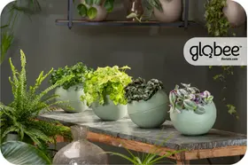 Το Globee είναι εύκολο να τακτοποιήσετε και να το συνδέσετε με διάφορους τρόπους.
Για να μπορέσετε να πρασινίσετε τον κόσμο σας με έναν απλό, κομψό τρόπο και εξοικονομώντας χώρο.