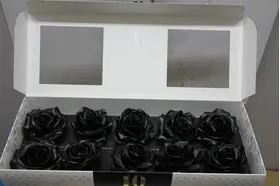 (4) Exclusive Pink Waxed  Roses In Cylinder Hat Box!!! NEW!!!